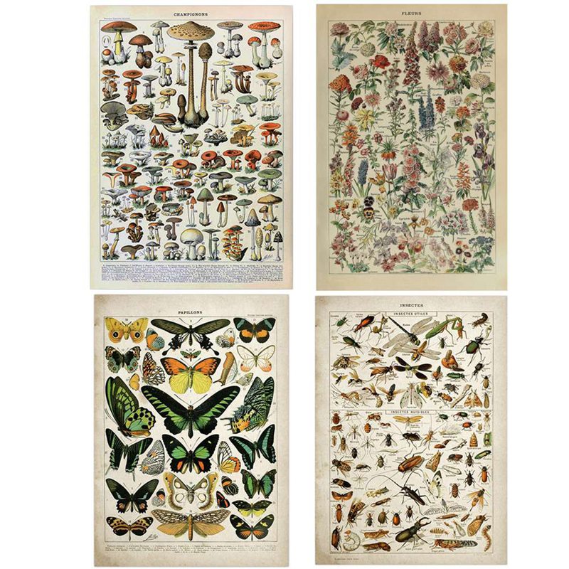 Art Craft Butterfly - Vintage Adolphe Millot Ansiklopedisi Tuval Boyama
