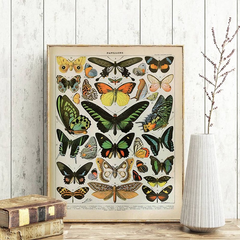 Vintage Adolphe Millot Ansiklo - Art Craft Butterfly incelemesi ve fiyatı