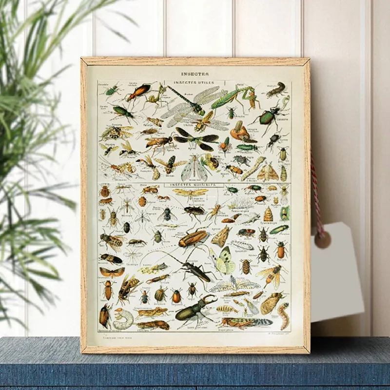 Vintage Adolphe Millot Ansiklo - Art Craft Butterfly incelemesi ve fiyatı