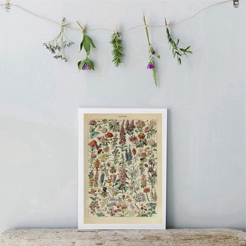 Vintage Adolphe Millot Ansiklo - Art Craft Butterfly incelemesi ve fiyatı